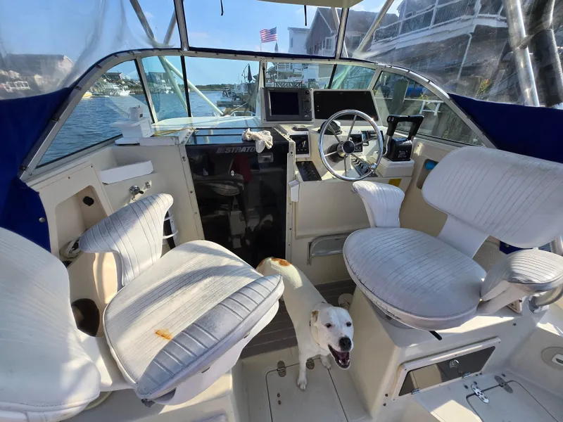 Slide: The Image of 1996 Stratos 2500 Walkaround boat interior with steering wheel, seats, and a dog onboard. - 6