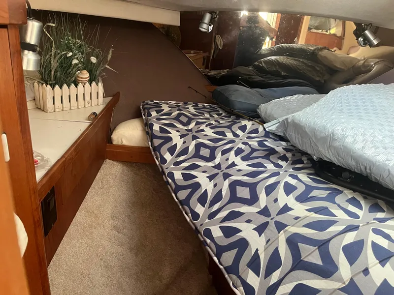 Slide: The Image of Cozy cabin interior of 1989 Tiara Yachts 33OPEN with patterned bedding and decorative plants. - 17
