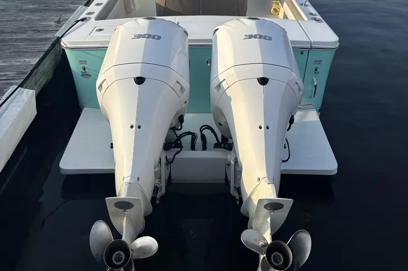 Slide: The Image of Regulator Marine 28 2019 - 10