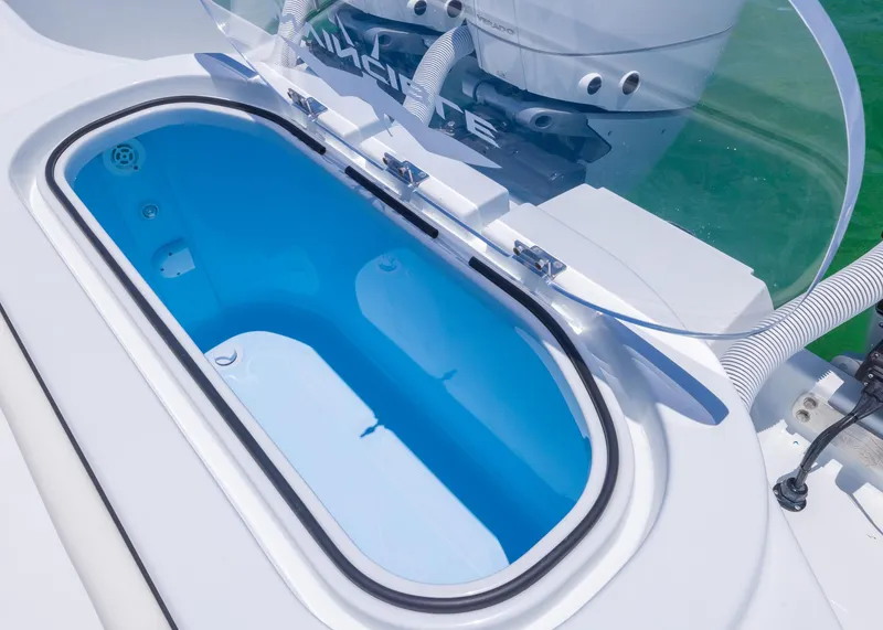 Slide: The Image of Open livewell on 2026 Invincible 38 Catamaran, showcasing blue interior and clear lid. - 40