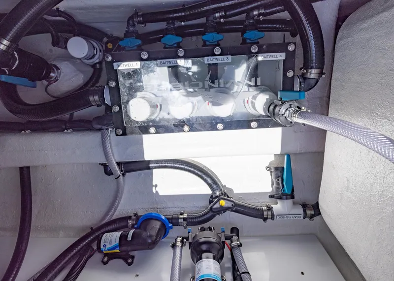 Slide: The Image of Invincible 38 Catamaran 2026 - 57