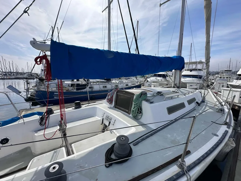 Slide: The Image of 1983 Racing Sloop sailboat docked in a marina, featuring a blue sail cover. - 2