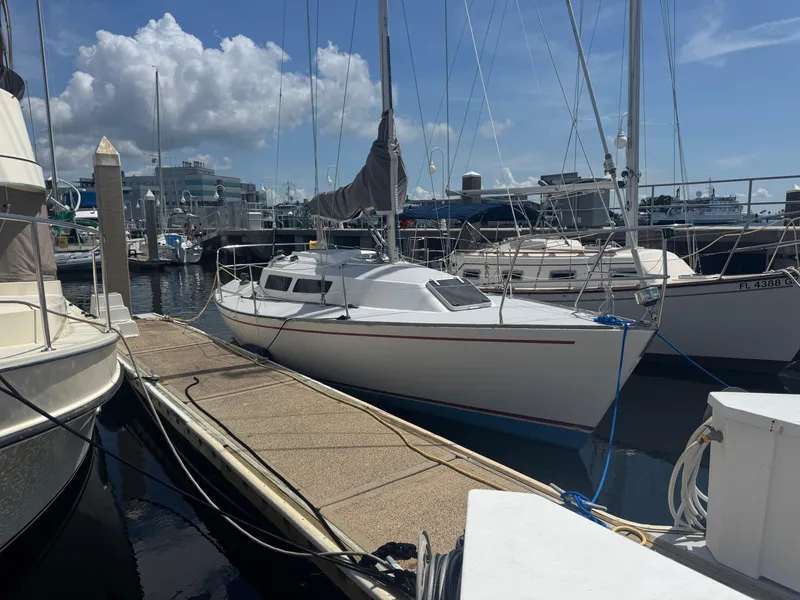 Slide: The Image of Frers 30 1987 - 27