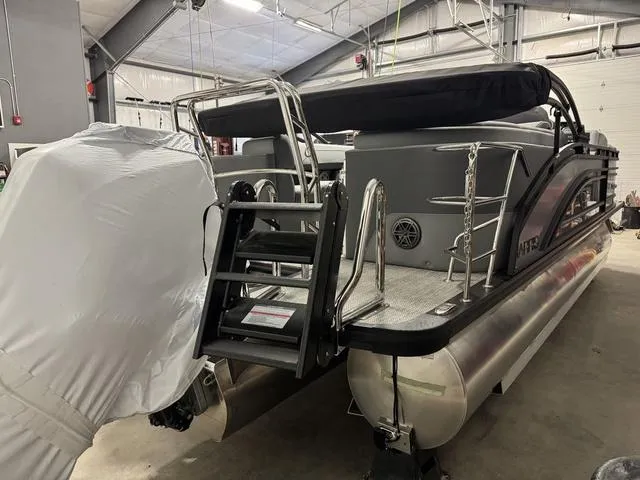 Slide: The Image of Harris Solstice 230 2025 - 8