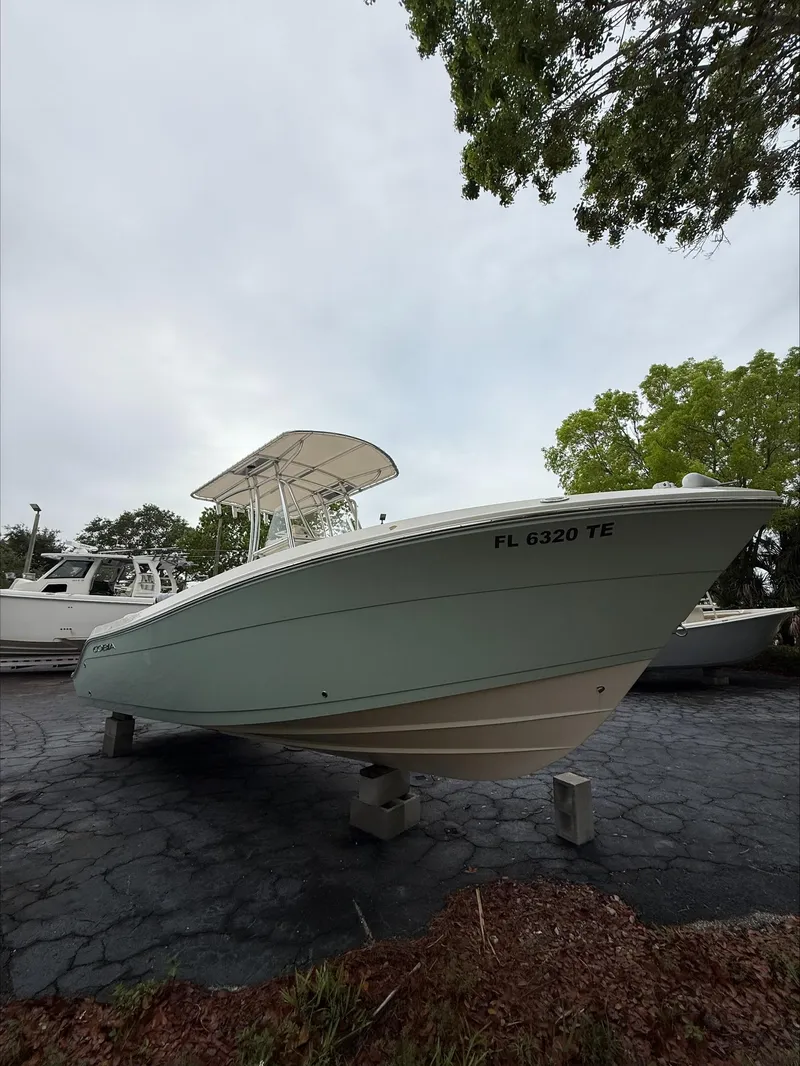 Slide: The Image of Cobia 237 CC 2022 - 3