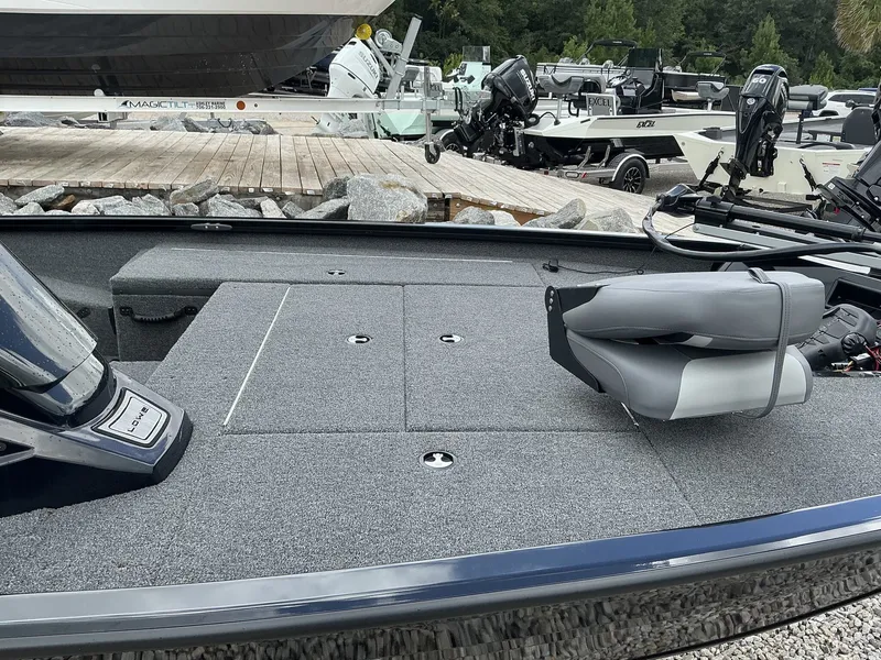 Slide: The Image of Lowe Stinger ST175 2025 - 8