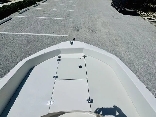 Slide: The Image of Stingray 186CC 2019 - 12