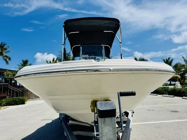 Slide: The Image of Stingray 186CC 2019 - 15