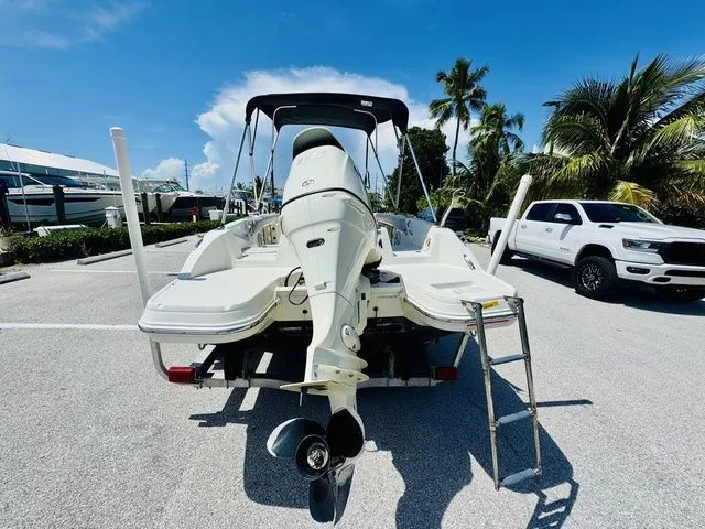 Slide: The Image of Stingray 186CC 2019 - 4