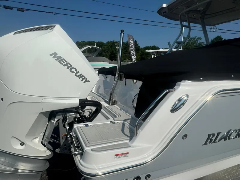 Slide: The Image of 2025 Blackfin 252 DC boat with Mercury outboard engine. - 6
