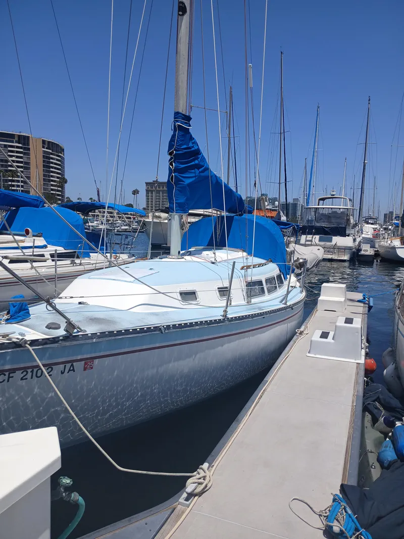 The Image of 1984 Newport Sailboat docked in marina under clear blue sky. - 0