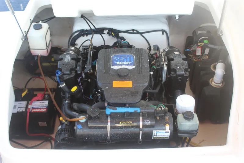 Slide: The Image of Chaparral 244 Sunesta 2008 - 20