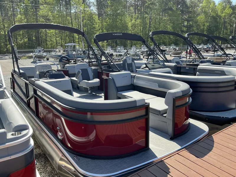 Slide: The Image of Lowe LS 210 2025 - 1