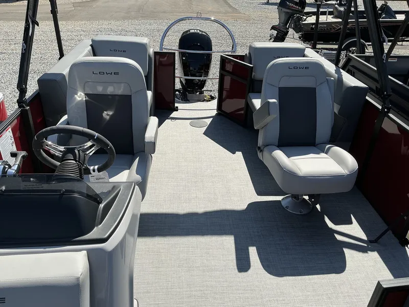 Slide: The Image of Lowe LS 210 2025 - 4