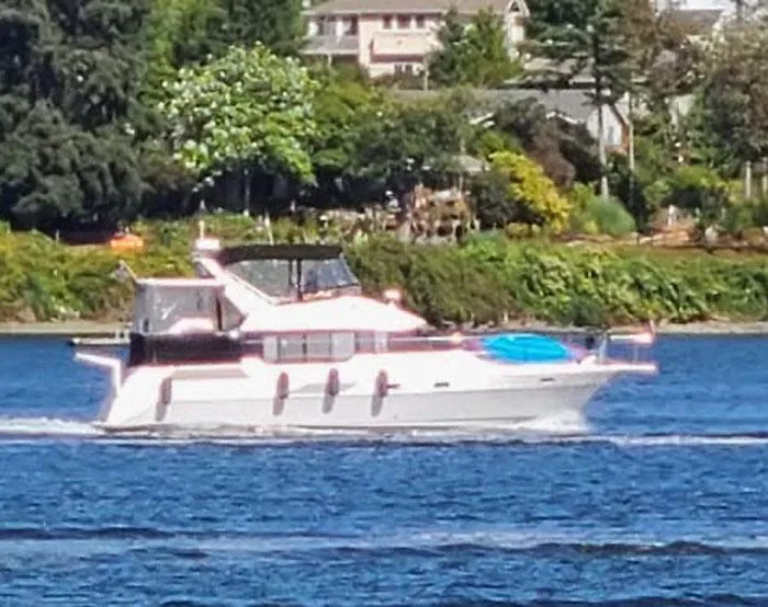 The Image of 1990 Bayliner 4387 Motoryacht cruising on a scenic river with lush greenery. - 0