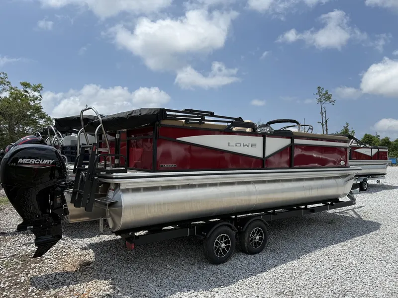 Slide: The Image of Lowe Ss 230 2025 - 6