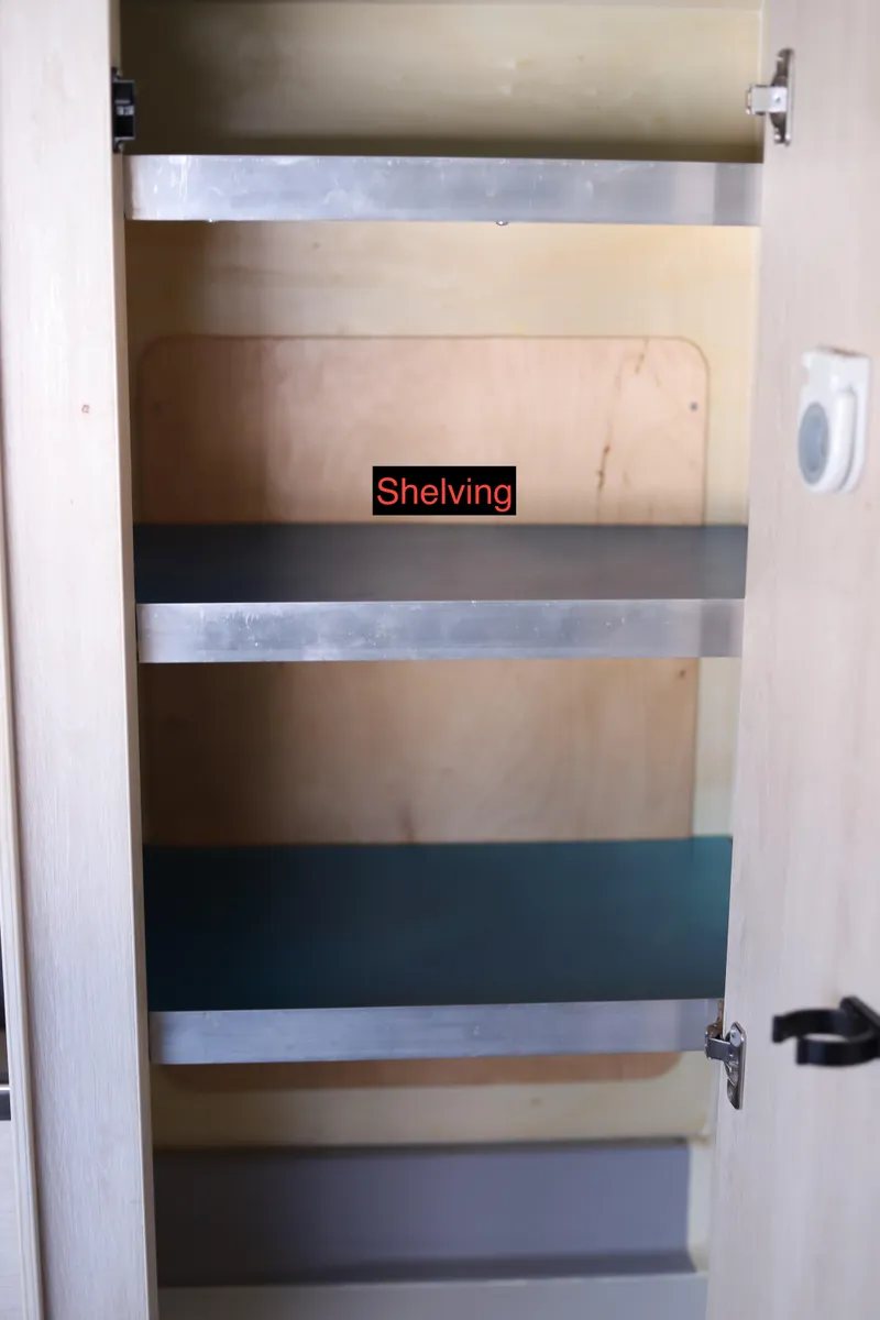 Slide: The Image of Leopard 45 2020 - 50