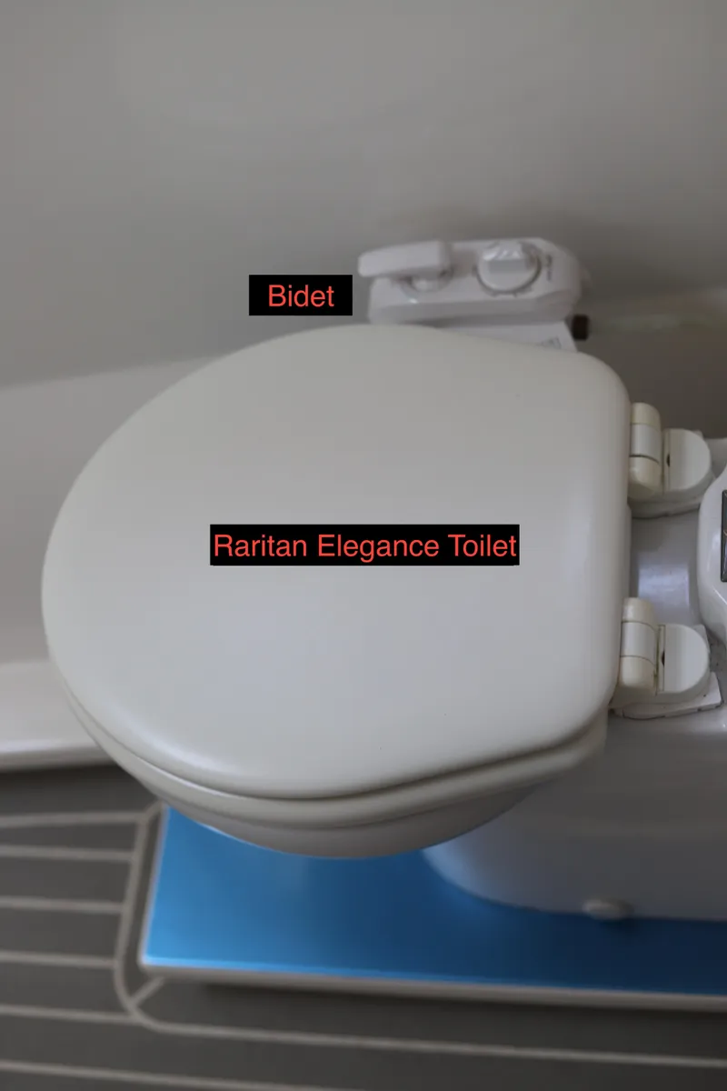 Slide: The Image of Leopard 45 2020 - 53