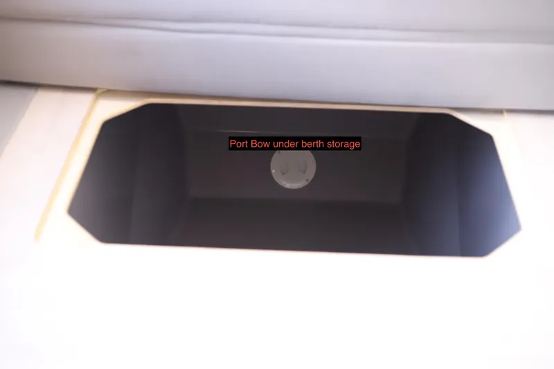 Slide: The Image of Leopard 45 2020 - 55