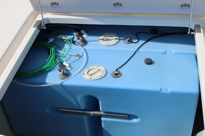 Slide: The Image of Leopard 45 2020 - 58