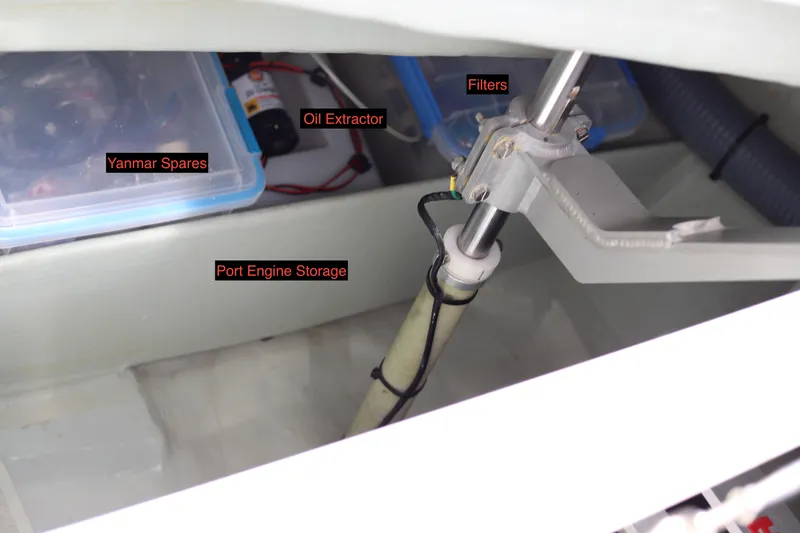 Slide: The Image of Leopard 45 2020 - 60