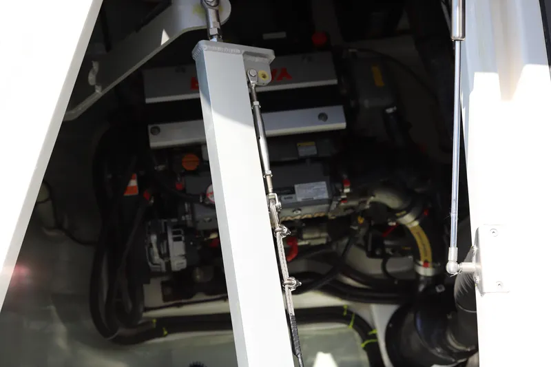 Slide: The Image of Leopard 45 2020 - 61