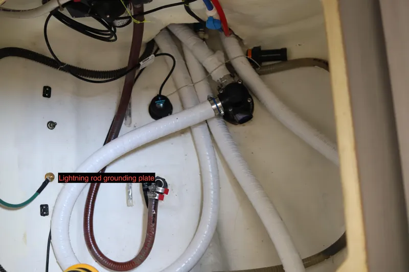 Slide: The Image of Leopard 45 2020 - 62