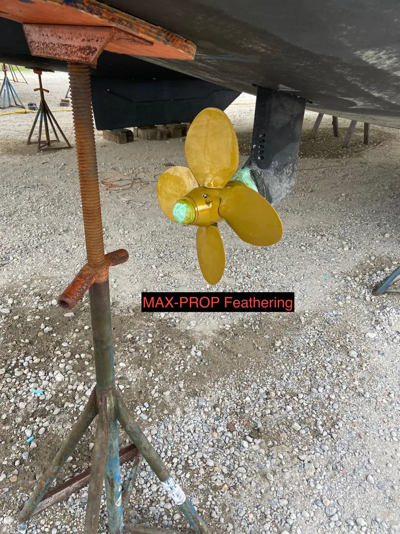 Slide: The Image of Leopard 45 2020 - 63