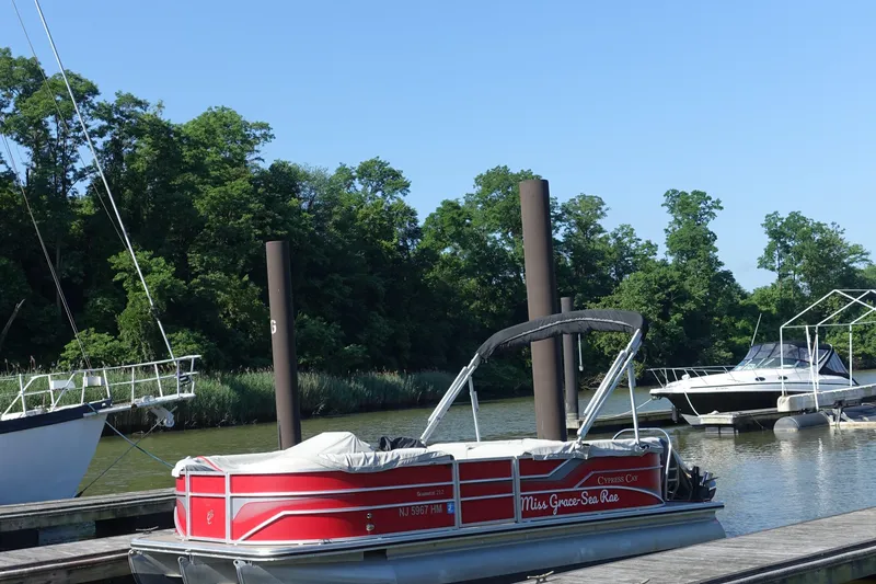 The Image of 2018 Cypress Cay Seabreeze 212 pontoon boat docked on a serene river with lush greenery. - 1