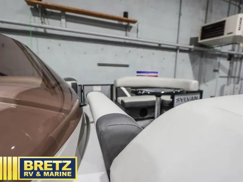 Slide: The Image of Mirage Party Fish 2026 - 20