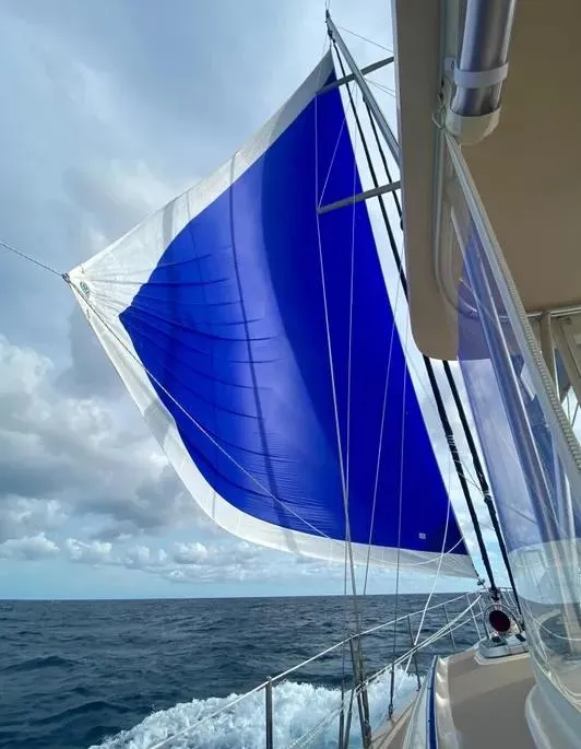 Slide: The Image of Sailing on a 2004 Island Packet 485 with a vibrant blue spinnaker. - 16