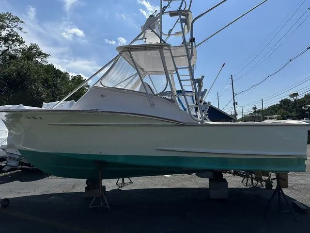 Slide: The Image of Scarborough Ricky Scarborough 26 Sport Fish 1981 - 3