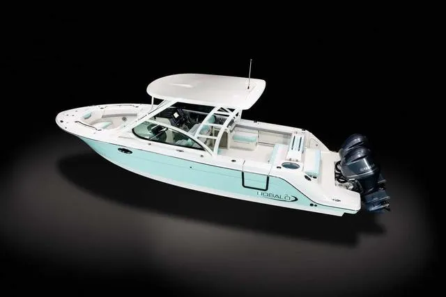 Slide: The Image of Robalo R317 Dual Console 2025 - 37