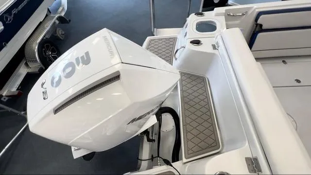 Slide: The Image of Finseeker 245 WA 2024 - 3