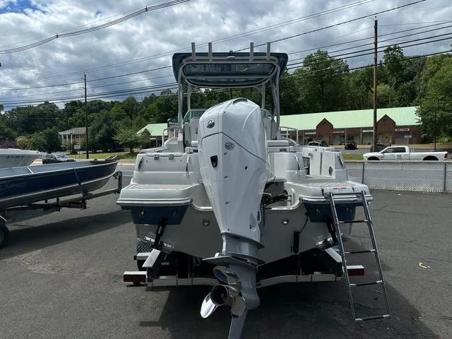 Slide: The Image of Finseeker 245 WA 2025 - 3