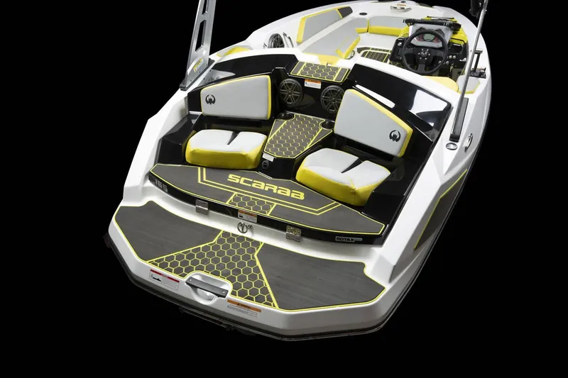 Slide: The Image of Scarab 165 ID 2023 - 3