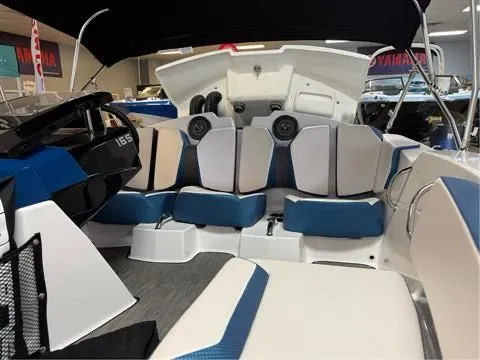 Slide: The Image of Scarab 165 ID 2023 - 9