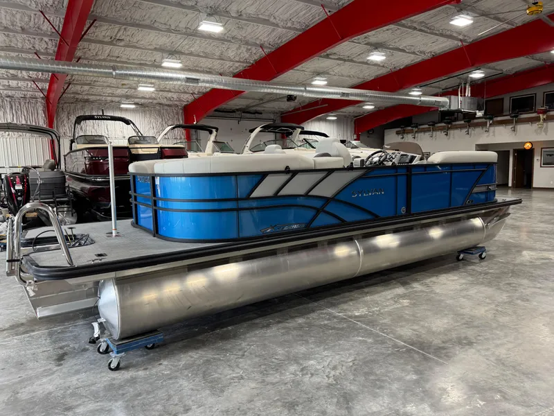 Slide: The Image of Sylvan X-5 2025 - 3