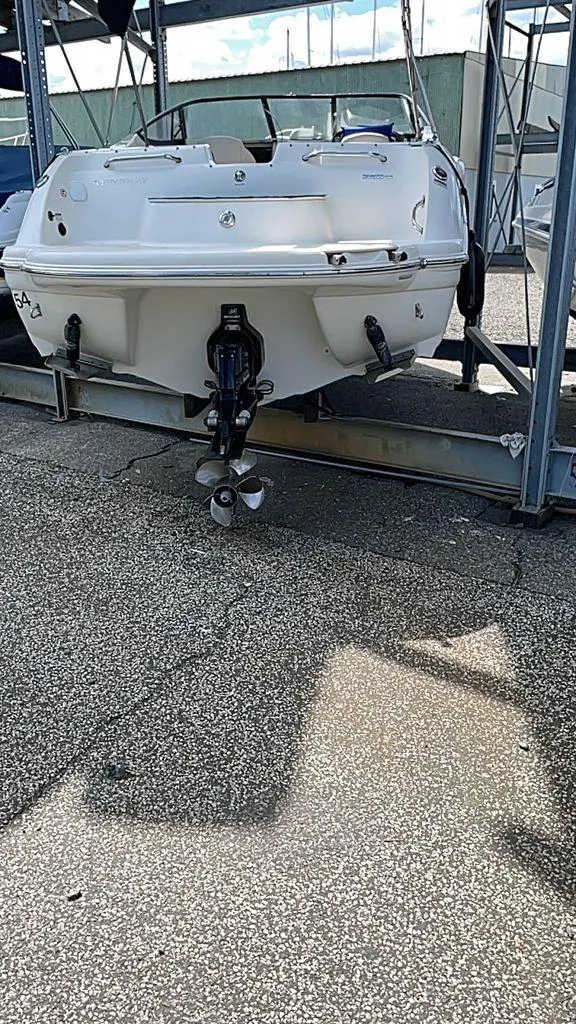 Slide: The Image of Stingray 250CR 2021 - 4