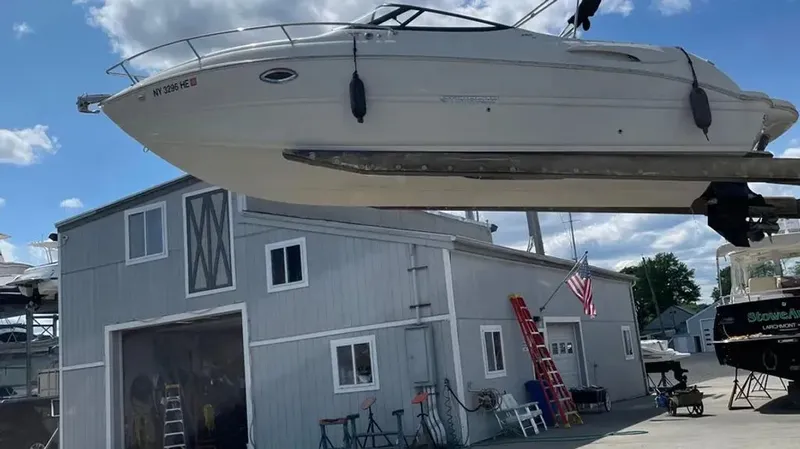 Slide: The Image of Stingray 250CR 2021 - 7