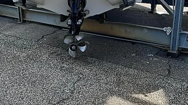 Slide: The Image of Stingray 250CR 2021 - 8