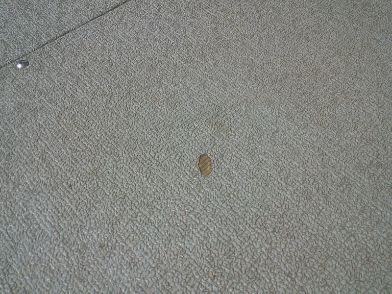 Slide: The Image of Lund 1825 Explorer Sport 2011 - 14