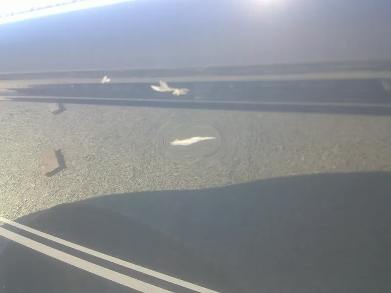 Slide: The Image of Lund 1825 Explorer Sport 2011 - 17