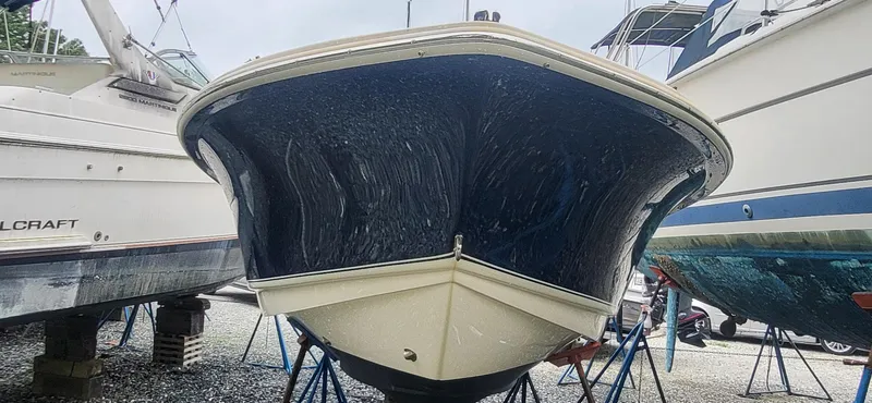 Slide: The Image of Scout 195 Sportfish 2020 - 18