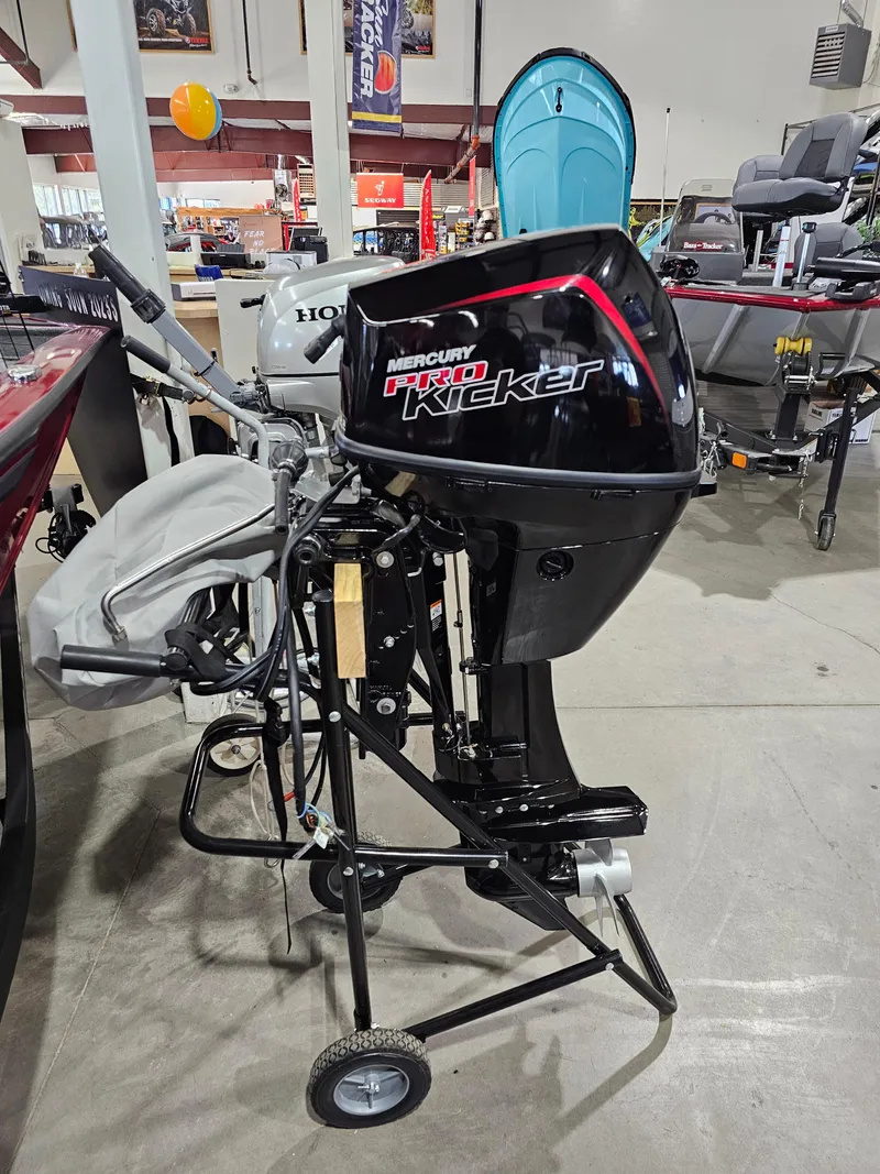 Slide: The Image of Mercury Fourstroke 9.9 hp EFI ProKicker 2024 - 3