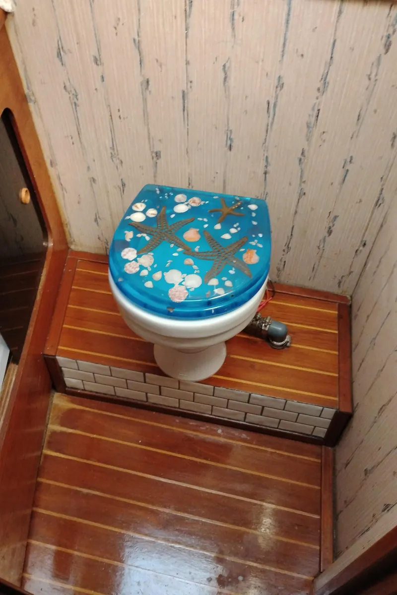 Slide: The Image of 1986 Bayliner 3870 Motoryacht bathroom with decorative toilet seat and wooden flooring. - 25