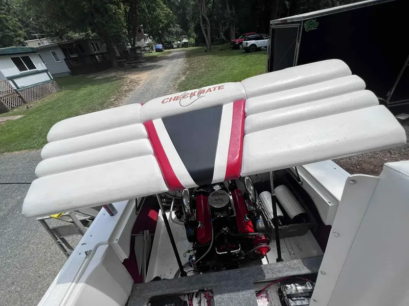 Slide: The Image of Checkmate 270 Convinsor 2007 - 13