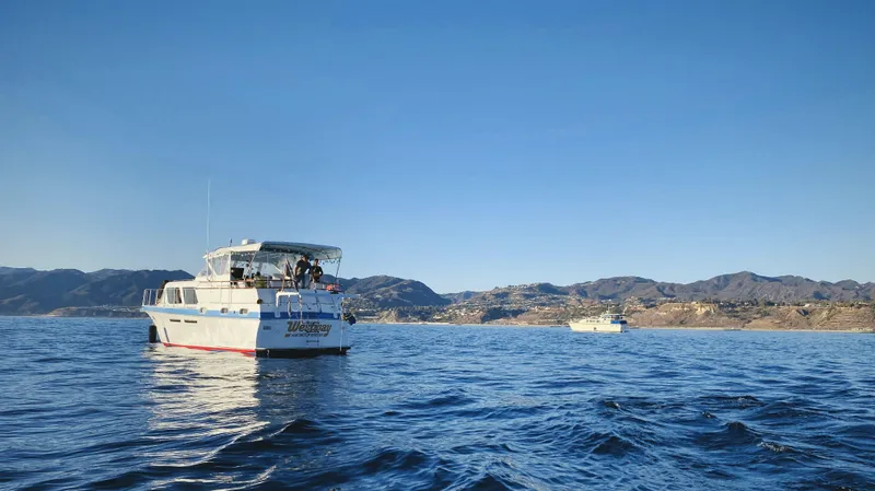 Slide: The Image of 1965 Hatteras 41 Twin Cabin yacht on calm ocean with scenic mountain backdrop. - 2