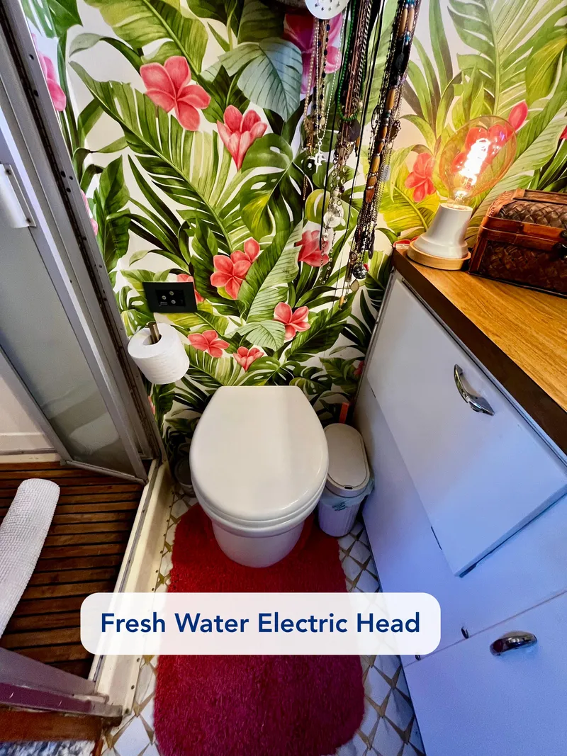 Slide: The Image of Fresh water electric head in 1965 Hatteras 41 Twin Cabin with tropical wallpaper. - 35