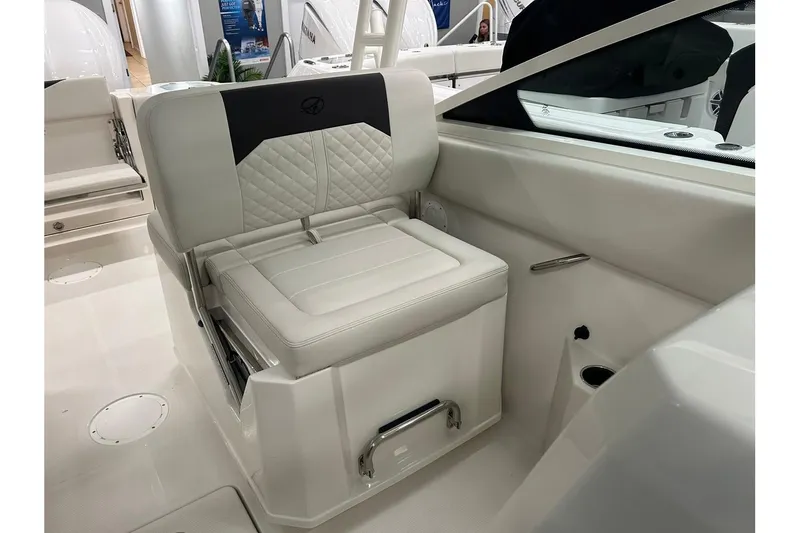 Slide: The Image of Sailfish 276 DC 2024 - 20